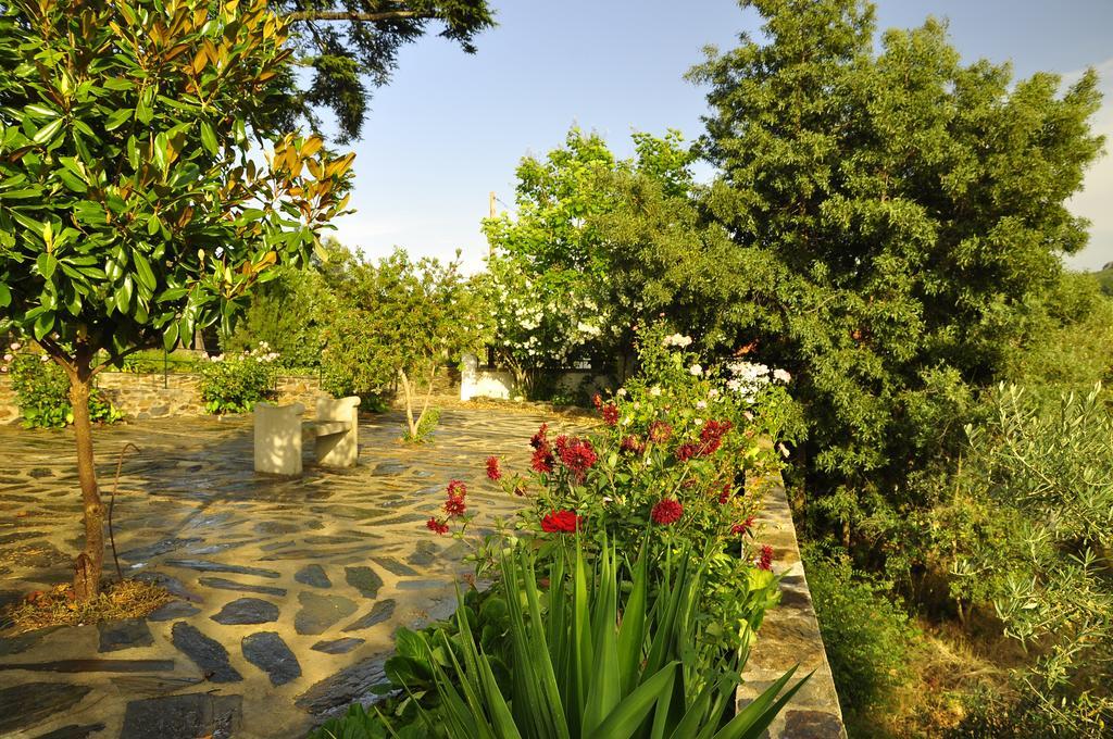 Vila Maria Castelo de Vide Exterior photo