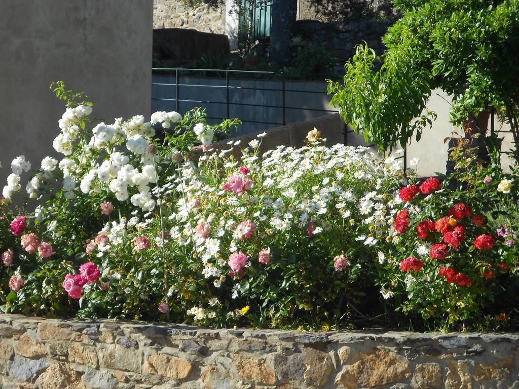 Vila Maria Castelo de Vide Exterior photo